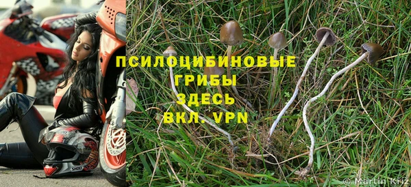 a pvp Нея