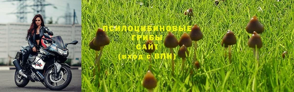 мефедрон мука Нефтекумск