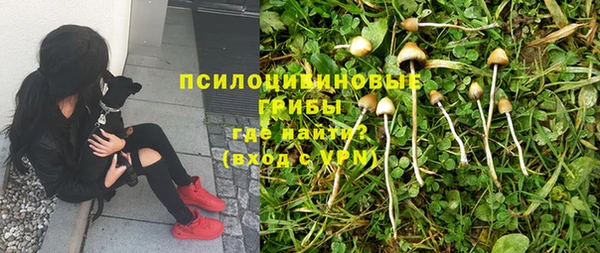 соль ск Нефтегорск